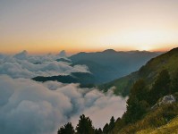 后排用户一直在聊的每日大赛吃瓜内容走向，看完你大概就懂了